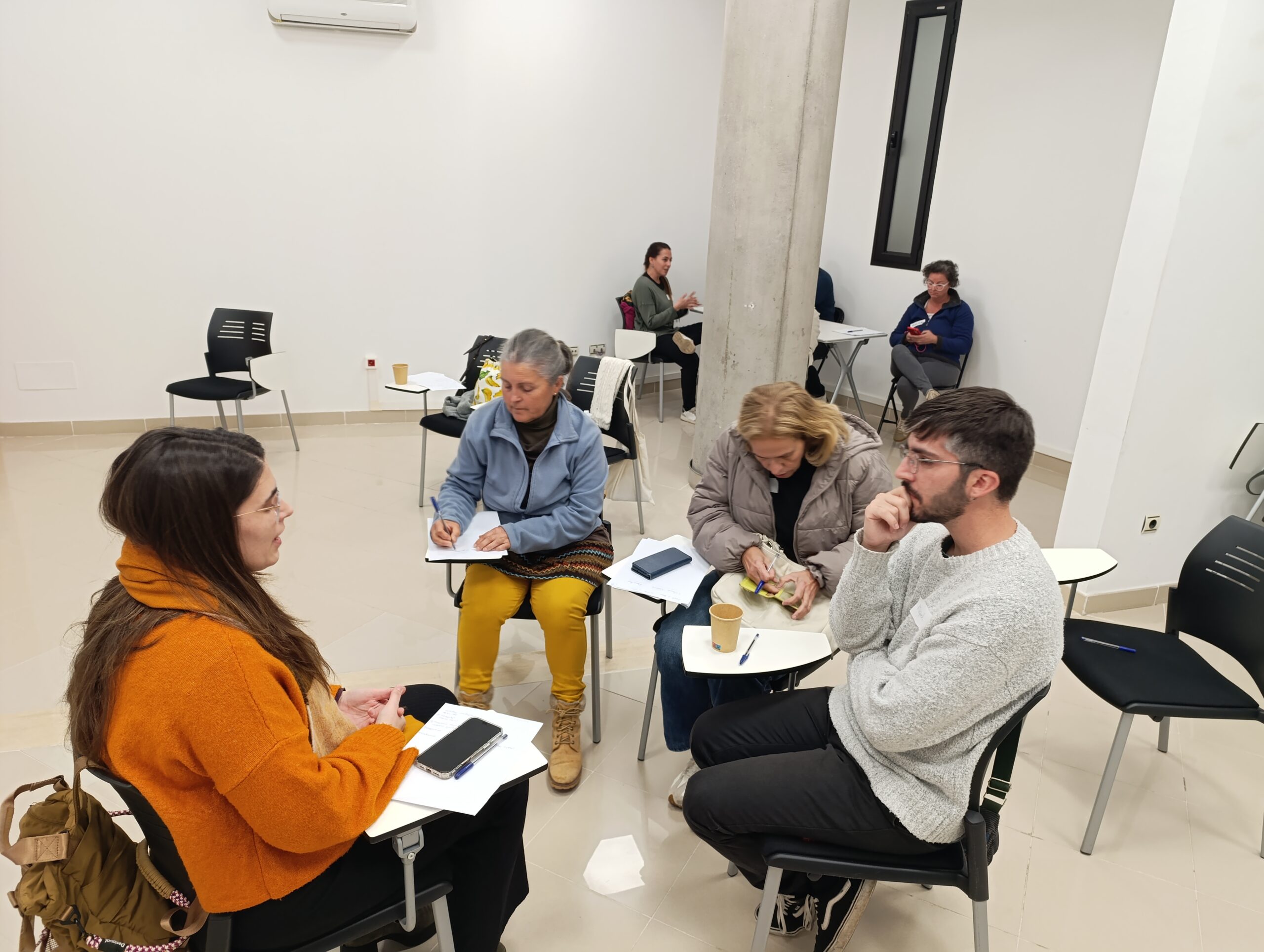 formaciones Proyecto Aridane