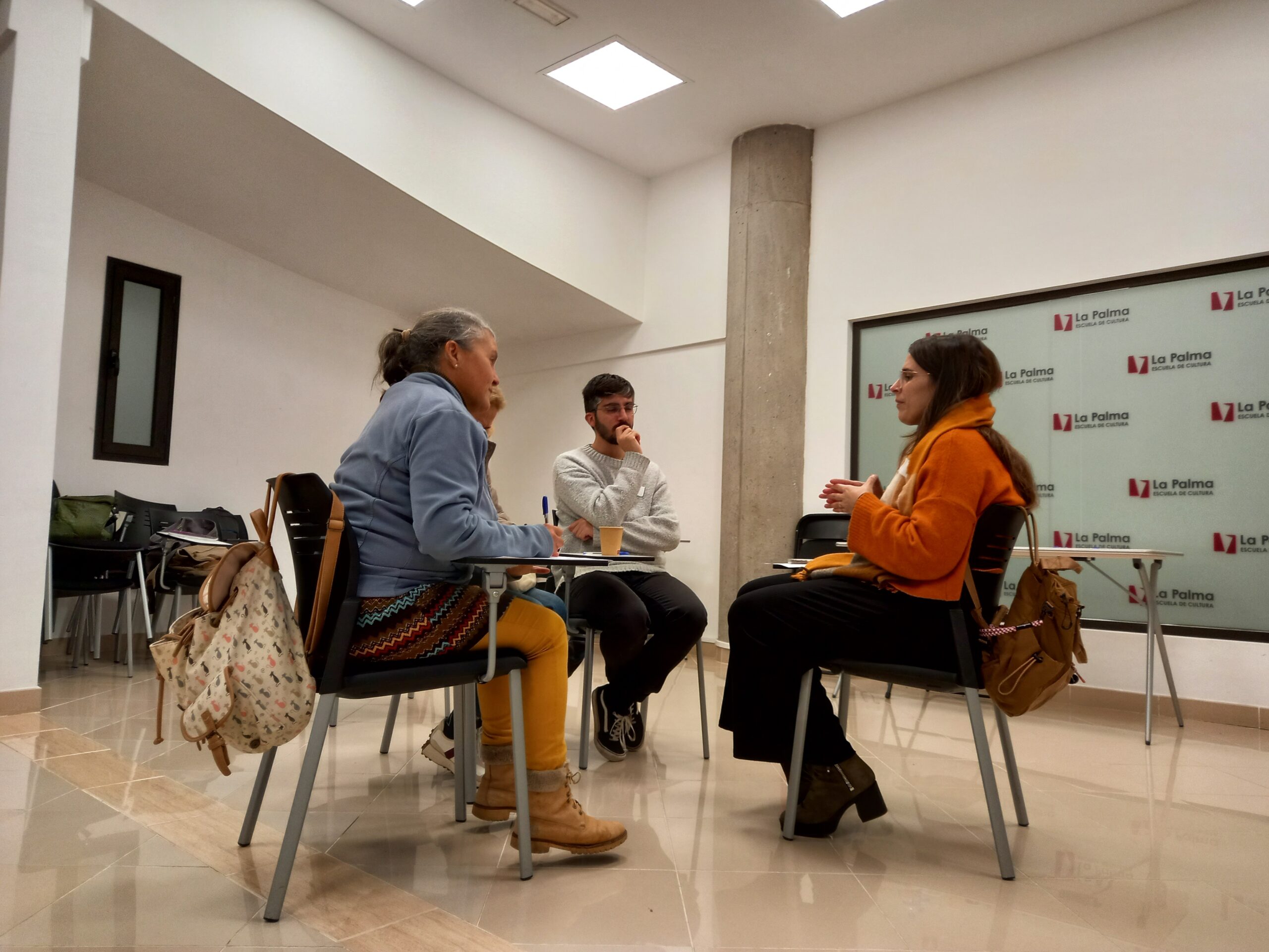 Formación, Audición Social Proyecto Aridane