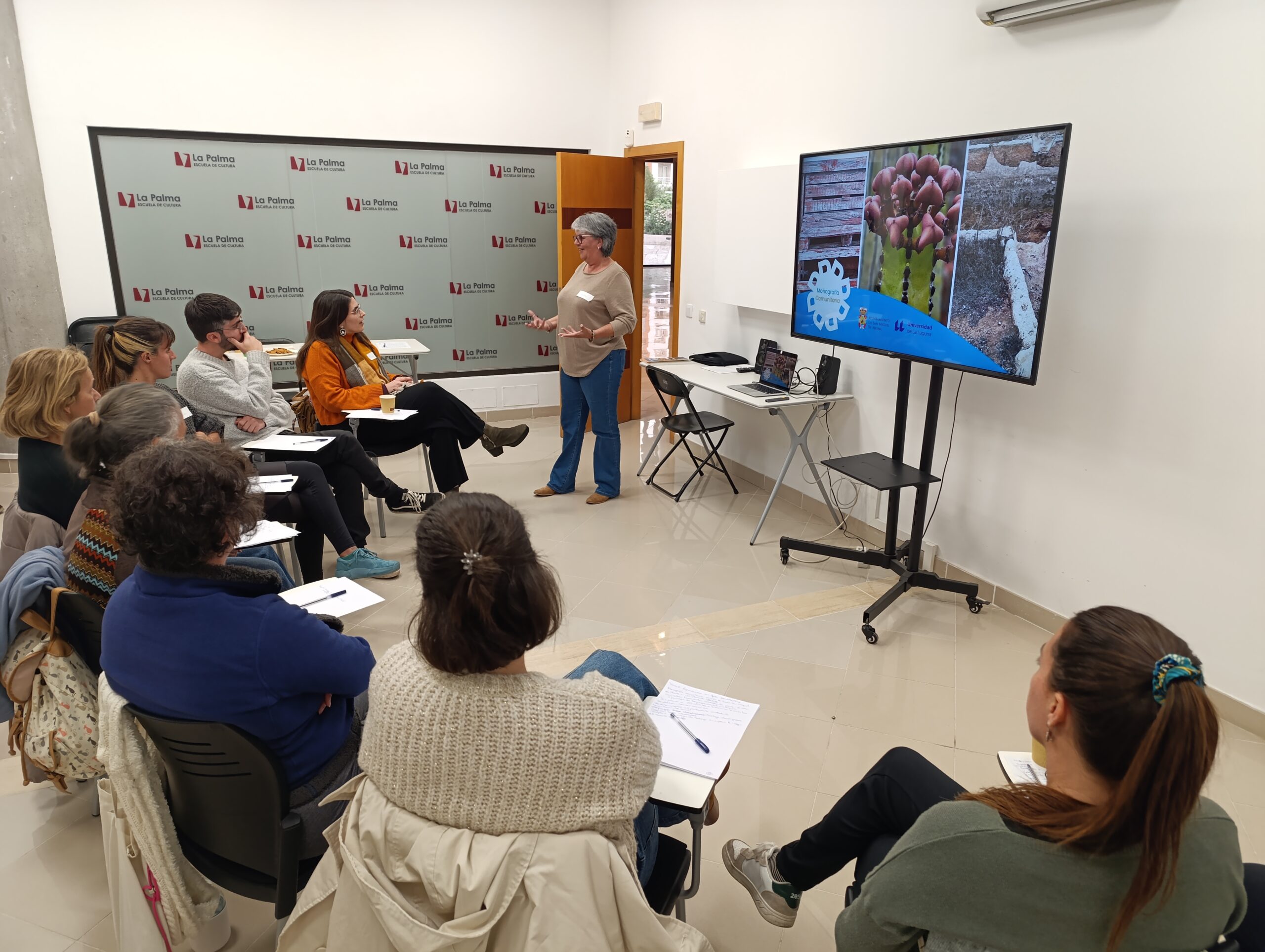 Formación, Audición Social Proyecto Aridane