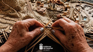Congreso de Reto demográfico de Canarias